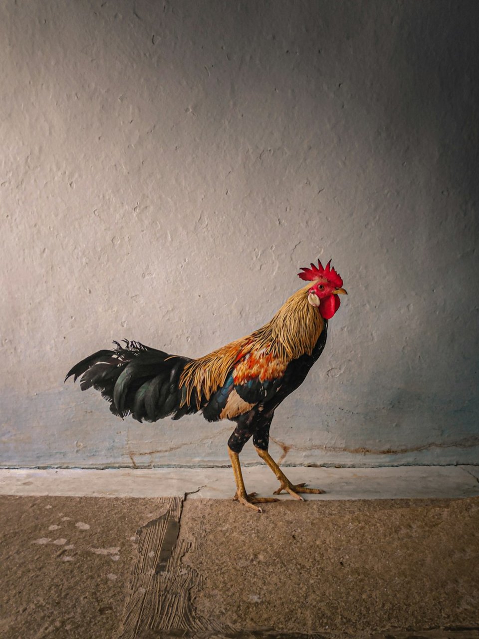 High-Station Cock